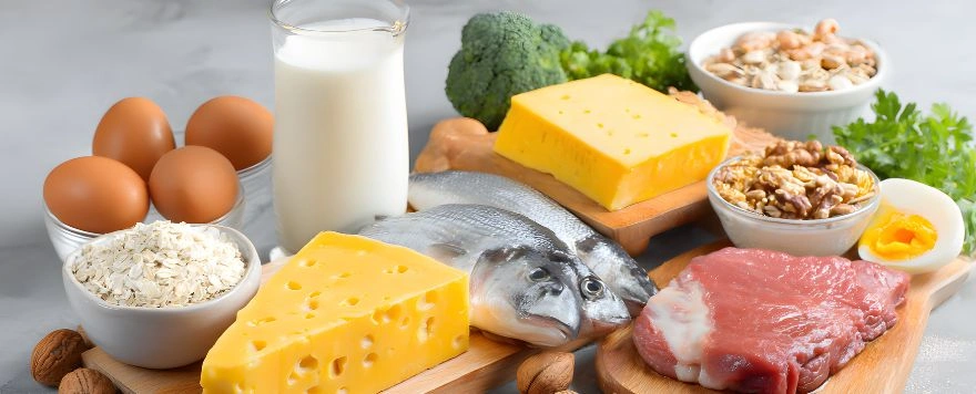 Fehérjeforrások az étrendben
